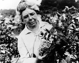 Elizabeth White