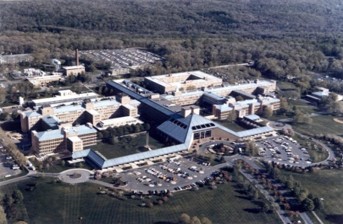Bell Labs Murray Hill NJ