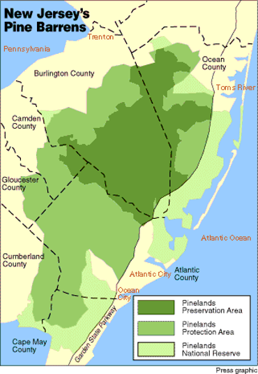 NJ Pine Barrens
