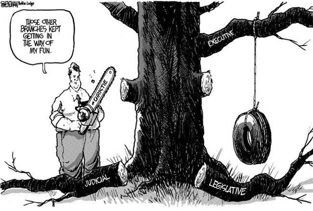 the tree doctor