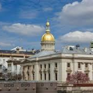 National, State and Local Governments
