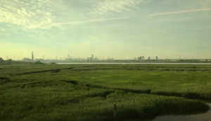 “This Land is Your Land: This Land is My Land”: Land Use in New Jersey